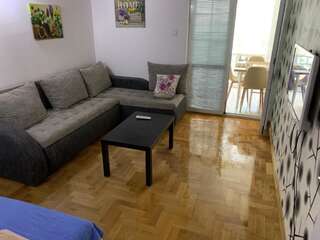 Апартаменты Apartman Vesko Vujacic Рафаиловичи Апартаменты-38